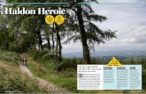 Insider’s guide Haldon Heroic...4 The Wall!(Haldon East) You may well look at this and think, 0.2 miles? Easy! However, this ‘little’ climb is a real test of man and machine.