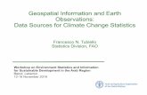 Geospatial Information and Earth Observations: Data ... · Geospatial Information and Earth Observations: Data Sources for Climate Change Statistics Francesco N. Tubiello Statistics