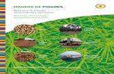 Madera de Pinares - Javier Flores | redRivaspress · 2013-04-07 · Una apuesta por la biomasa A commitment to biomass Desde Madera de Pinares, CPV S.L. apostamos por la Biomasa como