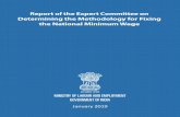 Report of the Expert Committee on Determining the ......Report of the Expert Committee on Determining the Methodology for Fixing the National Minimum Wage v Preface Preface As a labour