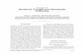 Chapter 13 Bacterial, Fungal and Nematode Diseasesciat-library.ciat.cgiar.org/Articulos_Ciat/cabi_16ch13.pdf · Chapter 13 Bacterial, Fungal and Nematode Diseases Rory J. Hillocks1