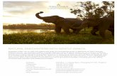 NATURAL ENCOUNTERS WITH GENTLE GIANTS. · Saunter through bamboo forest and view breathtaking landscapes from a unique ... traditional desserts. ACCOMMODATION romantic terrazzo tubs