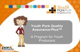 Youth Pork Quality AssurancePlus...2 Pork Quality Assurance ® • PQA ® - Voluntary educational program started in 1989, it helps to: – Prevent violative drug residues – Increase