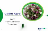 Gadot Agro - knco.outin.coknco.outin.co/wordpress/wp-content/uploads/2019/05/TOPFRESH_GADOTAGRO.pdfGadot Agro is responsible for all introduction activities of new products into the
