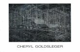 CHERYL GOLDSLEGER...the labyrinth-like mysterious art concepts of Cheryl Goldsleger are represented. Rooms devoid of people, undefin ed by their expansion and purpose, only inhabited