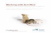 Working with ALS Mice - The Jackson Laboratoryjackson.jax.org/.../images/Working_with_ALS_Mice.pdfaffected in various SOD1 mutant mouse models, including upper corticospinal motor