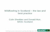 Wildfowling in Scotland the law and best practice · and this right (majora regalia - royal prerogative) includes shooting. Working to protect and promote sporting shooting since