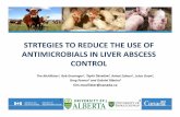 STRTEGIES TO REDUCE THE USE OF …...STRTEGIES TO REDUCE THE USE OF ANTIMICROBIALS IN LIVER ABSCESS CONTROL Tim McAllister1, Rob Gruninger1, Taylor Davedow 1, Rahat Zaheer1, Leluo