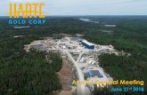 G O L D C O R P...Scalable mine plan: 1,400 tpd, +100,000 ounces of annual production Simple mine design, well understood orebody. 100,000 tonnes mined to-date AISC US$708/oz –first