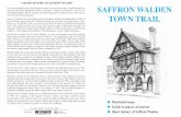SAFFRON WALDEN TOWN ... Walden had begun to grow the saffron crocus and by the early 1500s was the centre