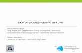 EX VIVO BIOENGINEERING OF LUNG - helmholtz-helena.de · The need for regenerating lungs ex vivo •Many devastating lung diseases remain without a cure • Chronic lung diseases predicted
