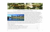 Poplar Council of Canada Newsletter Le Bulletin du …...3 irrigated sites in Alberta. The 2 ha site was established in 2006, with 5 willow clones and 2 poplar clones planted in a
