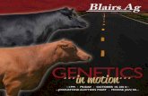 GENETICS in motion - Blairs.Ag Cattle CompanyGenetics In Motion '14 -5 We promised to share some of the very best in this year’s sale and Martini 25W is exactly that. I challenge