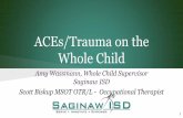 ACEs/Trauma on the Whole Child...Trauma causes the brain to adapt in ways that contributed to their survival (i.e. constant fight/flight/freeze) These adaptations can look like behavior
