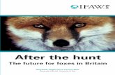 After the hunt - The fox website · After the hunt The future for foxes in Britain Philip Baker, Stephen Harris and Piran White University of Bristol, University of York 98427 IFAW