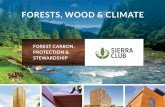 FORESTS, WOOD & CLIMATE - Sierra Club · on forests and forest carbon is left out of the emissions equation. Combatting global warming requires both avoiding greenhouse gas emissions,