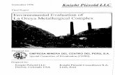 Environmental Evaluation of La Oroya Metallurgical Complexicsidfiles.worldbank.org/icsid/ICSIDBLOBS/OnlineAwards/C3004/C-008_Eng.pdf · installed Larox filtering system (operational