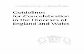 Guidelines for Concelebration in the Dioceses of England ...liturgyoffice.org.uk/Resources/Ministry/Concelebration.pdfGuidelines for Concelebration in the Dioceses of England and Wales