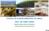 STATUS OF SUGAR INDUSTRY IN INDIA, INCL. IN TAMIL NADU · 2017-01-23 · Sugar produced by TN mills uncompetitive High cane cost means high cost of producing sugar 50% of country’s