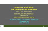 Saline and Sodic Soils: Testing and Amendmentssdcorn.s3.amazonaws.com/content/uploads/2015/09/3_Reese... · 2015-09-01 · •Bn ‐Accumulation of sodium on the exchange complex