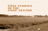 chapter 2 case studIes In the crop sector · Plant tissue culture advances, including somatic embryogenesis, micropropagation and micrografting, cryopreservation of embryogenic cell