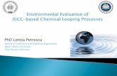 PhD Letiţia Petrescu - IEA Greenhouse Gas R&D Programme · Coal involves handling of solids, ash, pollutant emissions etc. Coal usage in the energy sector dirty energy source (Goyal
