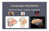 Raymond Hickey, English Linguistics · 8) Linguistic theory and language acquisition (empricism vs. generativism) What is psycholinguistics? Psycholinguistics is the study of language