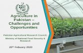 Agriculture in Pakistan Challenges and Opportunities · 7 Sugar, Gur & Molasses 8 Cut Flower Production 9 Spices 10 Animal Feed & Fodder 11 Tobacco Industry 12 Animal Skin Processing