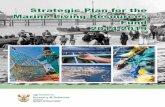 Strategic Plan for the Marine Living Resources Fund 2014-2019 · APAP Advance Agricultural Policy Action Plan MCS Monitoring, Control and Surveillance BCC Benguela Current Commission