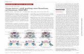 STRUCTURAL BIOLOGY Structures and gating mechanism of human …wulab.tch.harvard.edu/PDF/Wang_Science_2018.pdf · One notable feature in the human TRPM2 apo structure is that the