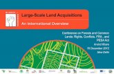 Large-Scale Land Acquisitions - Rights and Resources ... · Large-Scale Land Acquisitions An International Overview Conference on Forests and Common Lands: Rights, Conflicts, FRA