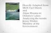 Heavily Adapted from: MOE Fact Sheets and Algae Blooms in ...blacklakeassociation.ca/wp-content/uploads/2014/06/... · lower total phosphorus (TP) • Most occur in shallow lakes