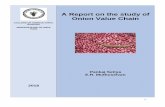 A Report on the study of Onion Value Chain Report... · supply/value chain of onion from producer to consumer in selected markets. Onion is the most market sensitive agri-commodity