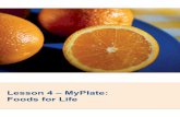 Lesson 4 – MyPlate: Foods for Life · 146 Lesson 4 – MyPlate: Foods for Life found in the grain’s bran and germ. Most refined grains are enriched, meaning certain B-vitamins