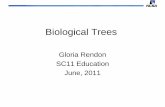 Reading Phylogenetic Trees - Shodorshodor.org/talks/calvin_cbbe11/d2s1/D2-1_Reading_Phylogenetic_Trees.pdf · Phylogenetic Trees and classification •Phylogenetic trees classify