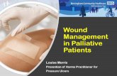 Wound Management in Palliative Patients · Injury (DTI) Birmingham Community Healthcare Graphic Device. ... unintentional weight loss, ... use dressings with non-adherent qualities
