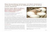 The breeding biology of Hen Harriers Circuscyaneus in ... · John O’Halloran PLANFORBIOResearchProgramme, SchoolofBiological,Earthand EnvironmentalSciences, UniversityCollege,Cork