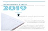 Captive Issues to Watch in2019 Issues to Watch...Captive Issue to Watch in 2019 law to be in alignment with the NRRA. Johnson & Johnson’s argument for a tax refund was based on the
