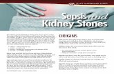 Sepsisand Kidney Stones · The information in this pamphlet is intended for educational purposes only. Sepsis Alliance does ... may recommend extracorporeal shock wave lithotripsy