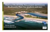 National Biodiversity Assessment and Estuary Biodiversity ...biodiversityadvisor.sanbi.org/wp-content/uploads/2012/09/BPF-2012-1-Estuar.pdf · Priority estuaries for biodiversity
