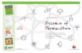 Essence of Permaculture - English · permaculture strategies focus on the opportunities rather than the obstacles. in the context of helping the transition from ignorant consumption