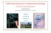 Differential Equations in Mathematical Biology · 2016-08-18 · MatRIC Modelling Colloquium, Kristiansand – August 9th to 11th, 2016 Jorge Duarte (jduarte@adm.isel.pt) Jorge Duarte