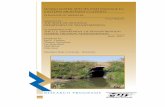 WARM WATER SPECIES FISH PASSAGE IN EASTERN …...WARM WATER SPECIES FISH PASSAGE IN EASTERN MONTANA CULVERTS Final Report prepared for ... (Furniss et al. 1991). The biological repercussions