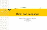 Brain and Language - IAUNresearch.iaun.ac.ir/pd/shafiee-nahrkhalaji/pdfs/UploadFile_5128.pdf · In 1973, Victoria Fromkin edited an important book entitled Speech Errors as Linguistic