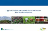 Opportunities for Investors in Rwanda’s Colour palette to ... Investment_Opportunities_in... · The Government of Rwanda has a clear vision for transforming agriculture through