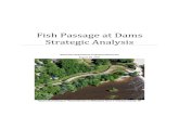 Fish Passage at Dams Strategic Analysisdnr.wi.gov/topic/EIA/documents/FPSA/FPSA8-28-17.pdf · 28.08.2017  · Fish passage at dams can provide both positive and negative effects.