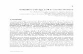 Oxidative Damage and Bronchial Asthma - InTech - Opencdn.intechopen.com/pdfs/27233/InTech-Oxidative... · Oxidative Damage and Bronchial Asthma 157 Glutathione reductase (GR, EC 1.8.1.7)