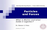 Particles and Forces - Texas A&M University · combinations of these elements. Particles and Forces 4 Atoms Sandia National Lab Size of the smallest atom (hydrogen): 0.000 000 000