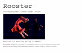 Rooster - Renae's VCE Dance Rooster Choreographer: Christopher Bruce Section of Rooster being studied: