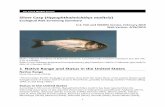 Silver Carp (Hypophthalmichthys molitrix · (1995) listed silver carp as introduced to Arizona in 1972 and denoted it as established. Apparently in reference to the same record, William